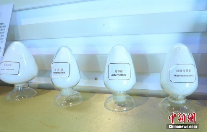 圖為9月7日，當(dāng)?shù)匾凰幤笳故旧a(chǎn)加工后的青蒿素及其制劑。 <a target='_blank' href='/'>中新社</a>記者 周毅 攝