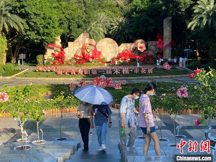圖為游客參觀南寧青秀山朱槿·市花展。　林潔琪 攝