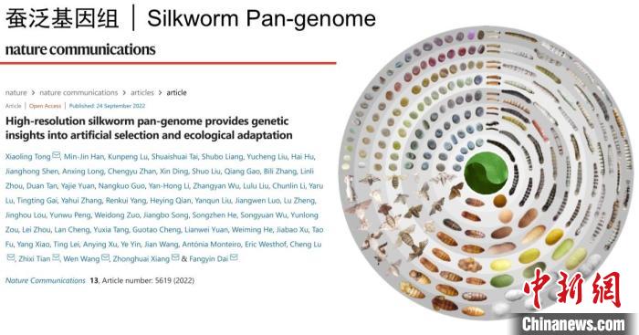 圖為家蠶生命周期各階段豐富的表型多樣性?！〖倚Q基因組生物學(xué)國家重點(diǎn)實(shí)驗(yàn)室供圖