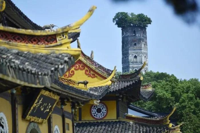 江心嶼東塔，塔頂自然生長一株100多年樹齡的榕樹。圖片來源：臺灣《經(jīng)濟(jì)日報》
