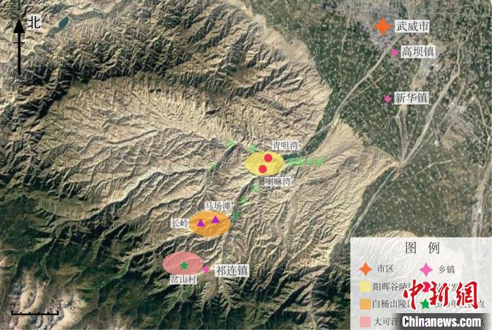 甘肅唐代吐谷渾王族墓葬群出土較多有機質(zhì)文物已采取應(yīng)急保護(hù)