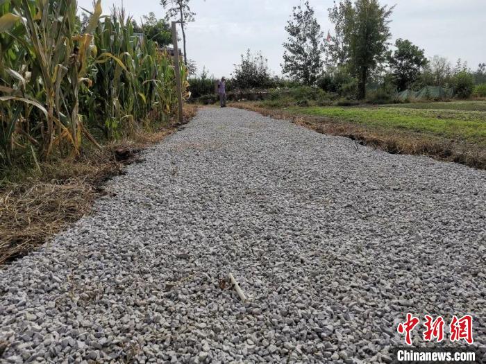 張景運(yùn)利用國(guó)慶假期去拔草修整路面，并自費(fèi)買來(lái)石子鋪在了上面?！?guó)網(wǎng)泗洪縣供電公司供圖