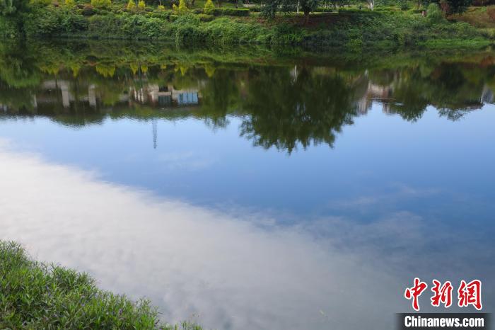 重慶兩江新區(qū)的肖家溝水庫是嘉陵江水系跳墩河的源頭，如今已打造成魚翔淺底的生態(tài)之湖?！×簹J卿 攝