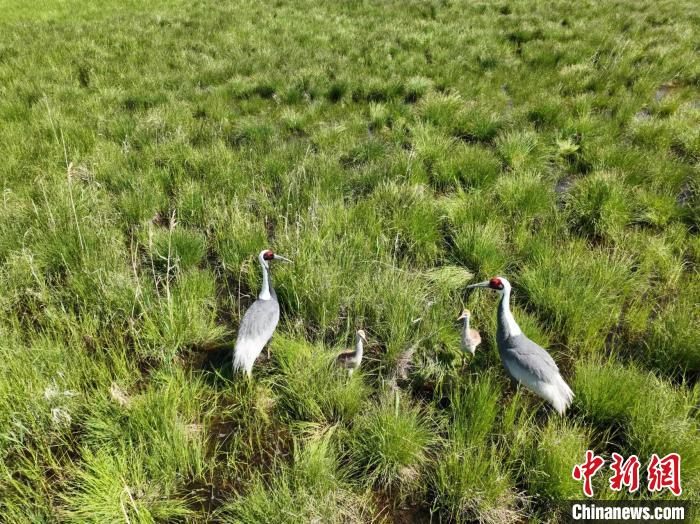 圖為如今的渾善達(dá)克沙地腹地?！㈤L永 攝