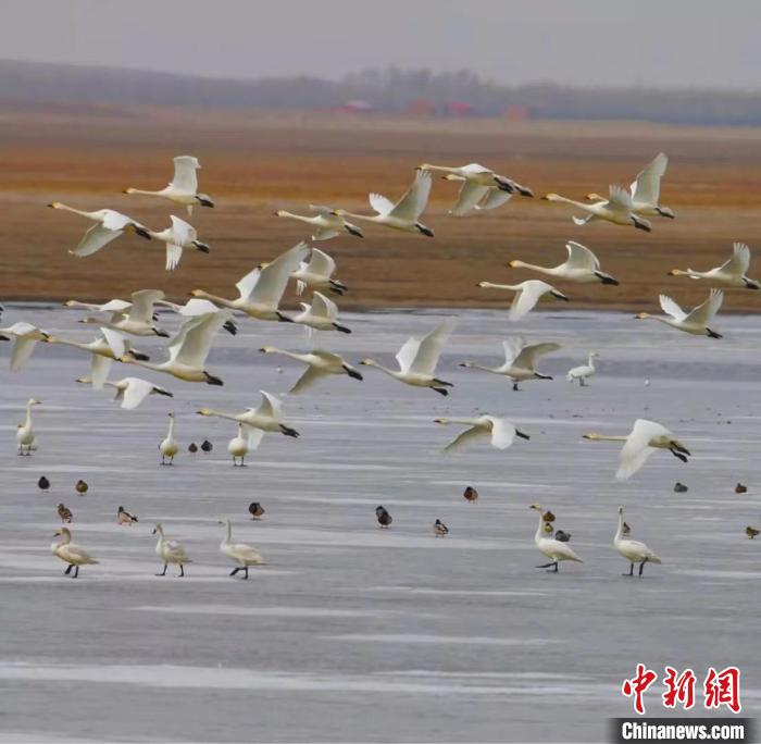 圖為如今的渾善達(dá)克沙地腹地?！」苡佬?攝