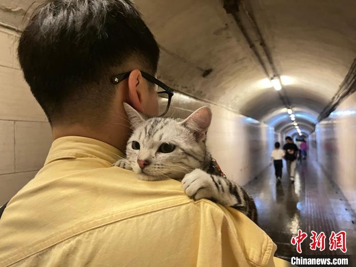 圖為張瑜軒在貴陽(yáng)工作之余，常會(huì)帶著家里的寵物一起出游?！∈茉L者供圖