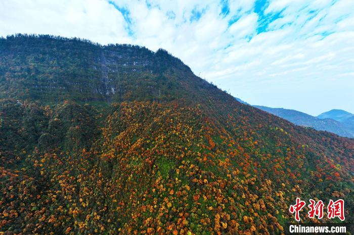 色彩斑斕的瓦屋山。　劉忠俊 攝