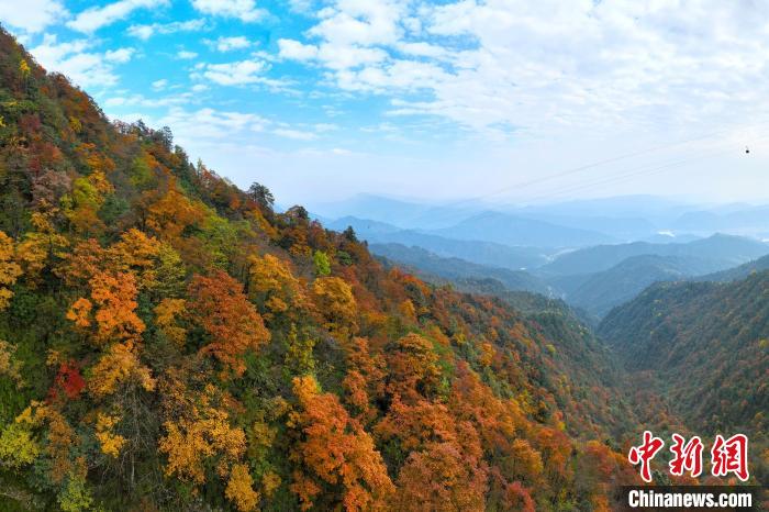 深秋的瓦屋山五彩斑斕，秋色如畫。　劉忠俊 攝