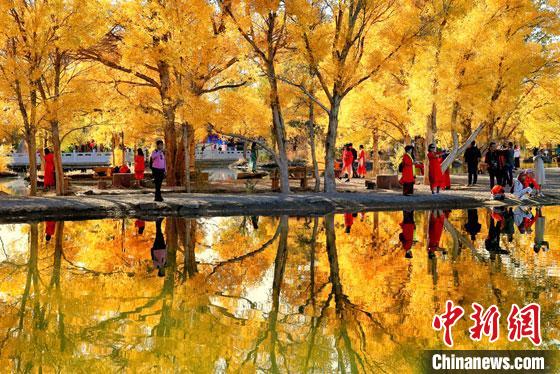 2018年10月下旬，甘肅酒泉市金塔沙漠胡楊林景區(qū)。但在40多年前，這里還滿目皆是光禿禿的荒漠。　楊志彬 攝