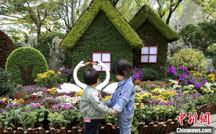 10月25日，第43屆趵突泉金秋菊展在濟(jì)南天下第一泉風(fēng)景區(qū)開幕?！堄?攝