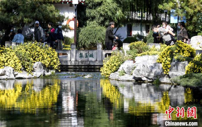 10月25日，第43屆趵突泉金秋菊展在濟(jì)南天下第一泉風(fēng)景區(qū)開幕?！堄?攝