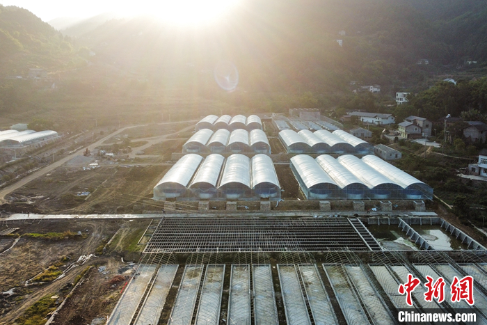 圖為10月19日，航拍初見雛形的“魚菜共生”基地。（無人機(jī)照片） <a target='_blank' href='/'>中新社</a>記者 何蓬磊 攝