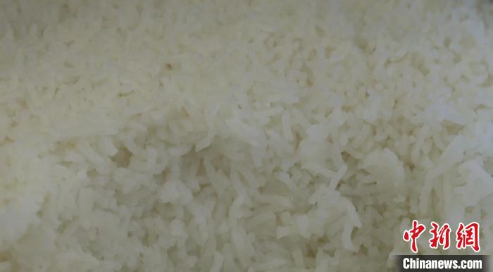 用“巨型稻”煮熟的米飯?！〗ǖ率形麄鞑抗﹫D