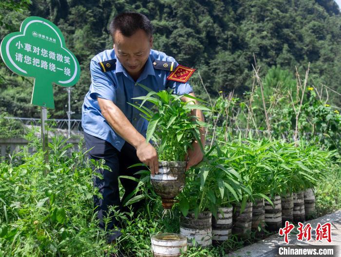 圖為改為無人值守前，員工在打理種植的蔬菜?！□r聯(lián)平 攝