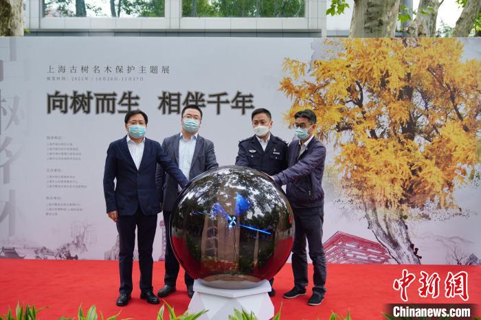 上海留住歷史見證和鄉(xiāng)愁：工程建設(shè)讓位古樹保護、為名木建園