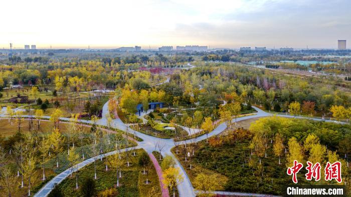圖為北京通州城市綠心森林公園。　北京市園林綠化局供圖