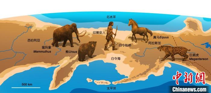 新生代水圈如何影響動(dòng)物圈？研究發(fā)現(xiàn)促古老類群向現(xiàn)代類群轉(zhuǎn)變