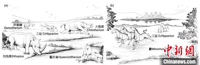 晚中新世華北地區(qū)三趾馬動(dòng)物群生態(tài)復(fù)原：(a) 華北西部； (b) 華北東部。　中科院古脊椎所 供圖