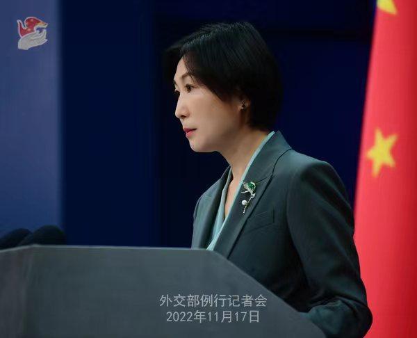 外交部發(fā)言人毛寧。薛偉 攝