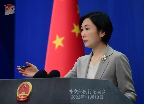 外交部發(fā)言人毛寧。薛偉 攝