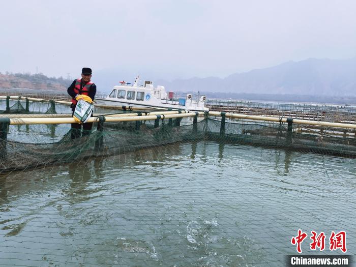 圖為水車村冷水魚養(yǎng)殖?！±钣穹?供圖