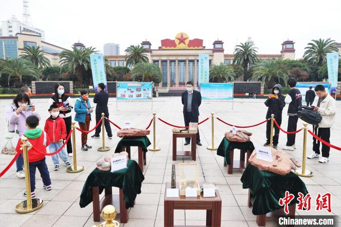 圖為2022年度江西省古生物化石保護(hù)利用科普宣傳活動(dòng)南昌分會(huì)場(chǎng)展出的一些古生物化石吸引不少市民觀看?！⒘?攝