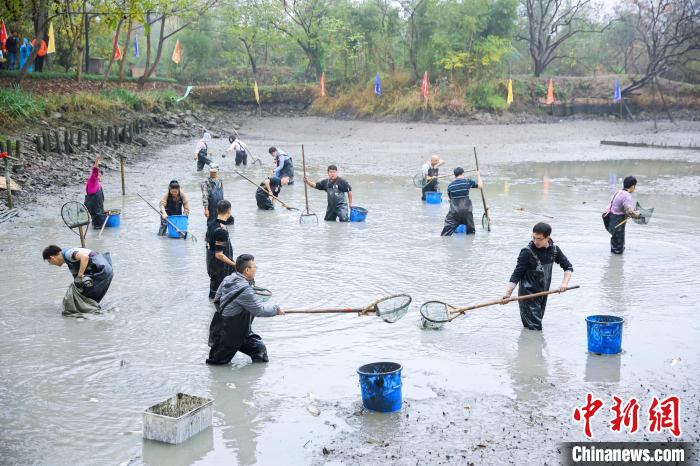 游客在魚(yú)塘里摸魚(yú) 西溪濕地 供圖