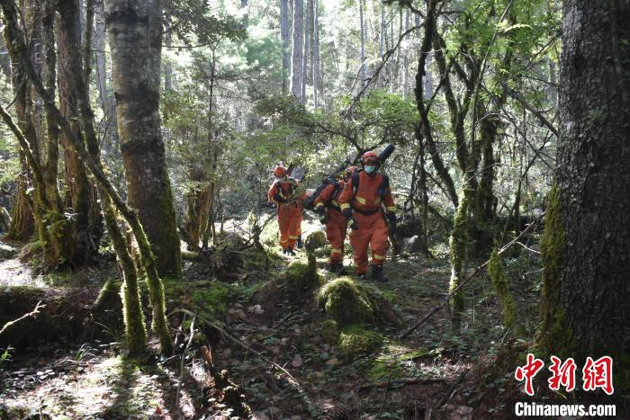 消防隊員在林間巡護。　王澤棟 攝