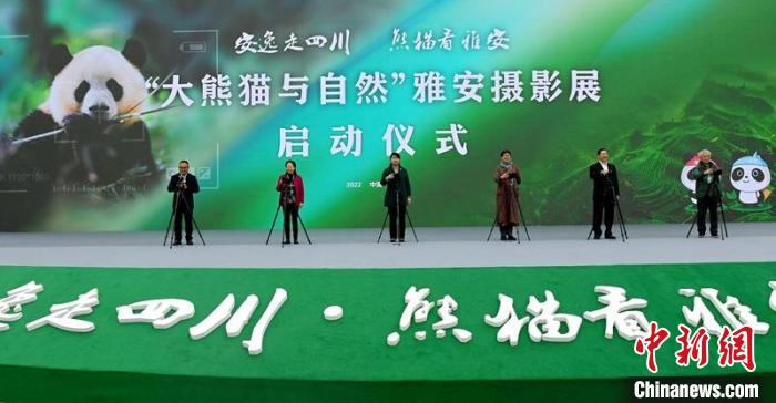 “大熊貓與自然”雅安攝影展啟動(dòng)儀式現(xiàn)場?！⒅铱?攝
