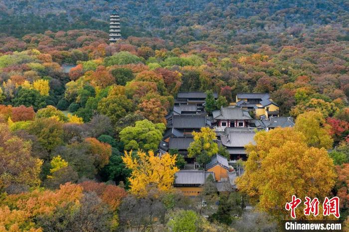 鐘山風(fēng)景區(qū)靈谷寺掩映在樹木中。　泱波 攝
