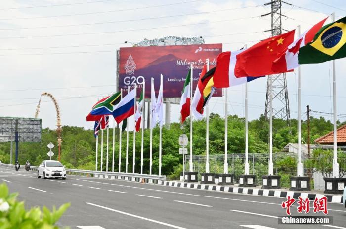 印尼巴厘島道路上G20成員國的國旗及歡迎海報。 <a target='_blank' href='/'>中新社</a>記者 李志華 攝