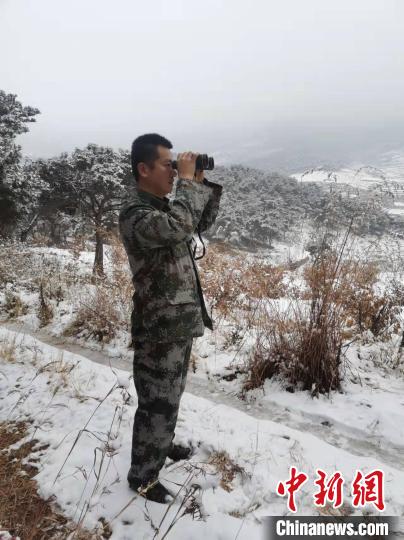 資料圖：大雪封山，護林員堅持巡查，避免積雪壓折樹木 泰安市委宣傳部供圖