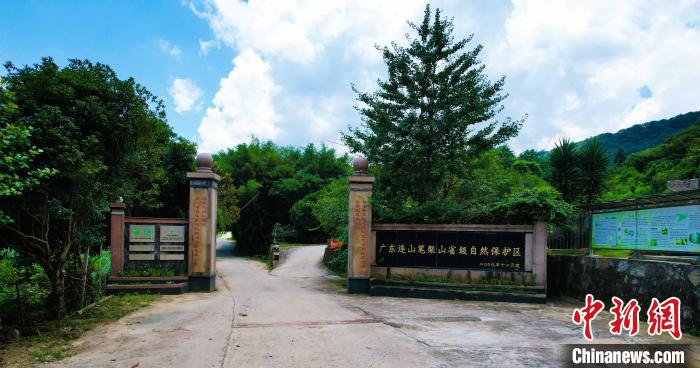 廣東連山筆架山省級自然保護區(qū)?！V東連山筆架山省級自然保護區(qū) 攝