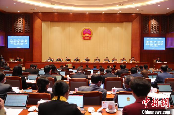 云南立法保護百歲以上古茶樹