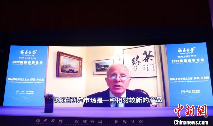 國際茶葉委員會主席伊恩·吉布斯視頻致辭?！×珠派?攝