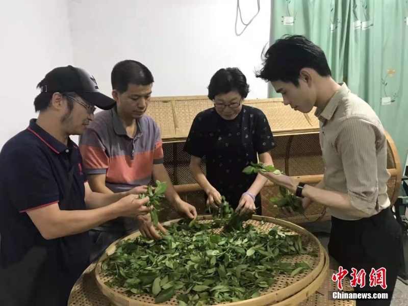 資料圖為臺(tái)灣制茶師左如玉（右二）在福建漳平教學(xué)生制茶。 <a target='_blank' href='/'>中新社</a>發(fā) 受訪者供圖