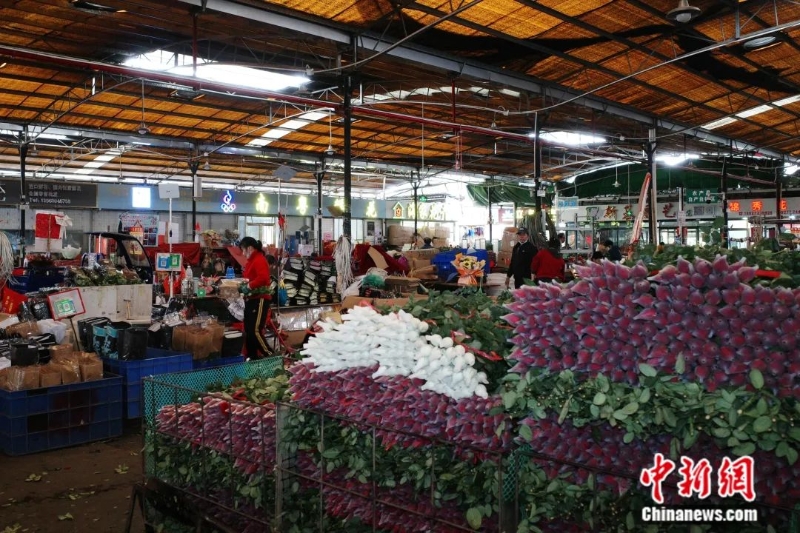 圖為嶺南花卉市場。<a target='_blank' href='/'>中新社</a>記者 陳楚紅 攝