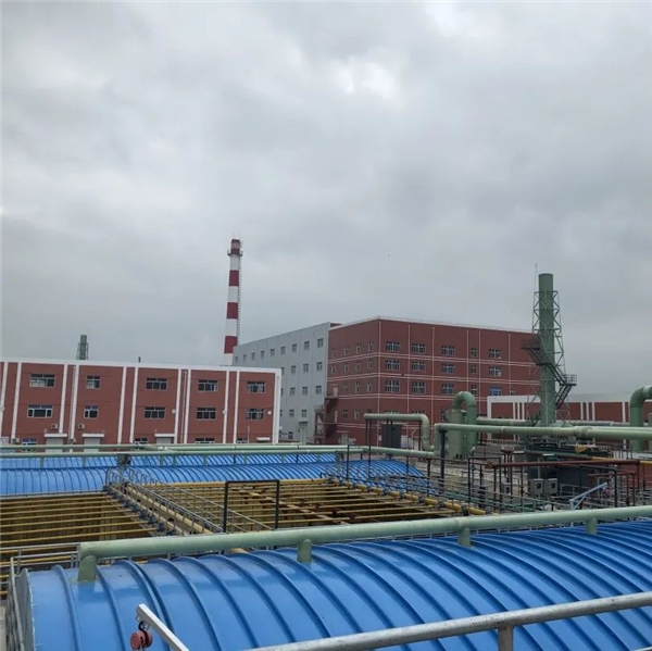 中信環(huán)境榮獲“2022企業(yè)ESG杰出環(huán)境實(shí)踐案例”大獎(jiǎng)