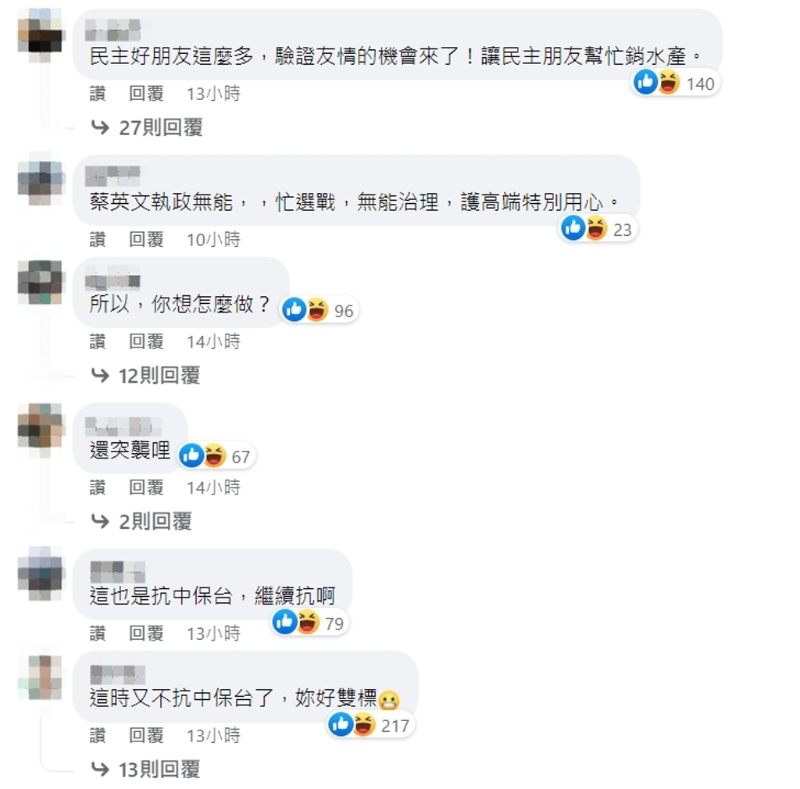 臉書(shū)網(wǎng)友留言。（圖／截自蔡英文臉書(shū)）