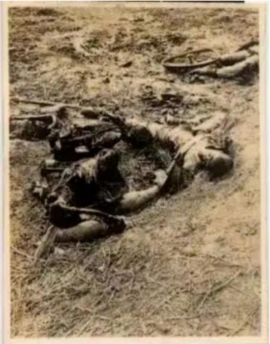 南京郊外被日軍屠殺的中國人尸體。圖源：侵華日軍南京大屠殺遇難同胞紀念館網(wǎng)站
