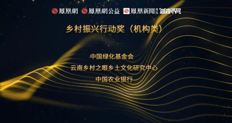 鳳凰網(wǎng)行動者聯(lián)盟2022公益盛典揭曉11大公益獎項，發(fā)布4款數(shù)字公益藏品