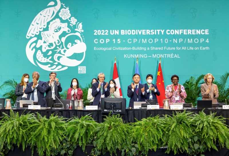 12月19日，《生物多樣性公約》第十五次締約方大會(huì)（COP15）第二階段會(huì)議通過(guò)“昆明-蒙特利爾全球生物多樣性框架”。（圖源：路透社）