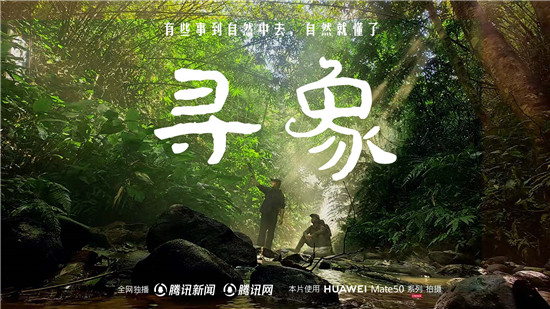 去雨林深處，聽大象長吟，自然紀(jì)錄片《尋象》正式上線！