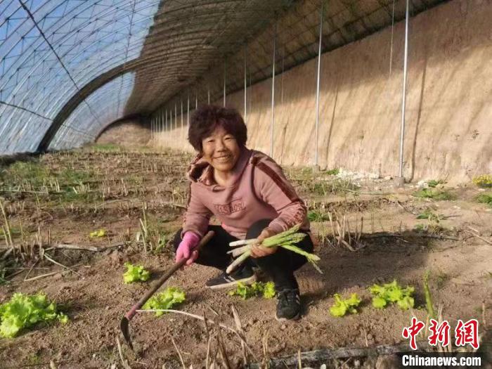 圖為內(nèi)蒙古赤峰市林西縣農(nóng)民在大棚里干活(資料圖)?！￡悤栽?攝
