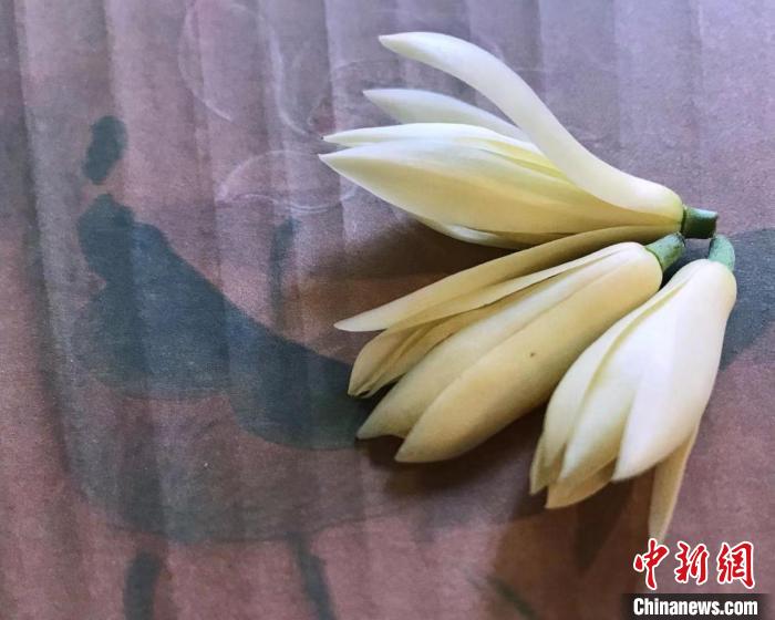 胡玉潔將自己種的白蘭花摘下晾干，放入信封贈(zèng)予朋友?！∈茉L(fǎng)者提供