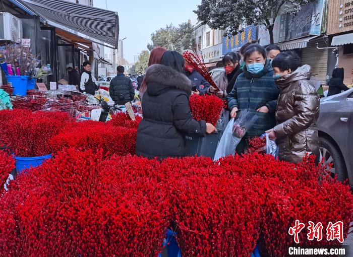圖為春節(jié)期間的花市幾乎成為“紅色汪洋”?！钣㈢?攝