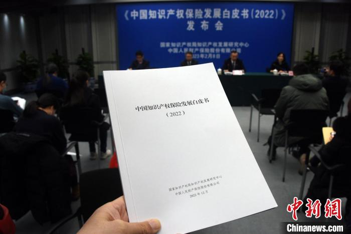 中國首發(fā)知識產(chǎn)權保險發(fā)展白皮書業(yè)界解讀意義與影響