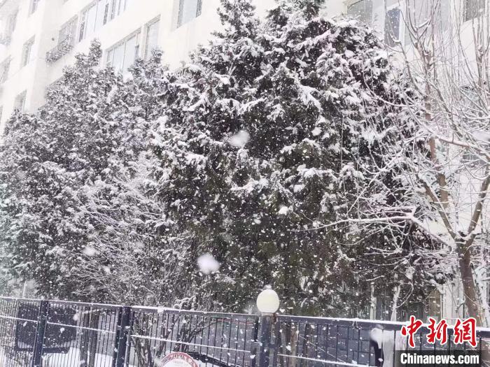 圖為呼和浩特迎降雪?！±類?ài)平 攝