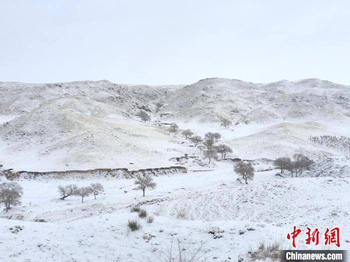 圖為內(nèi)蒙古迎降雪?！?nèi)蒙古自治區(qū)氣息局供圖