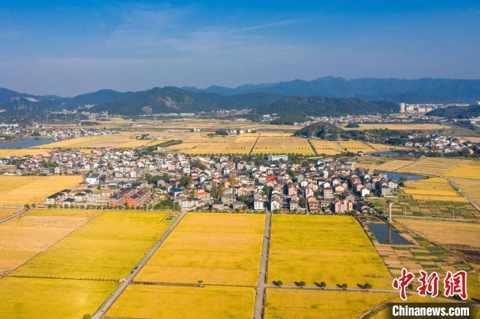資料圖：杜黃新村一景?！↑S俊皓 供圖